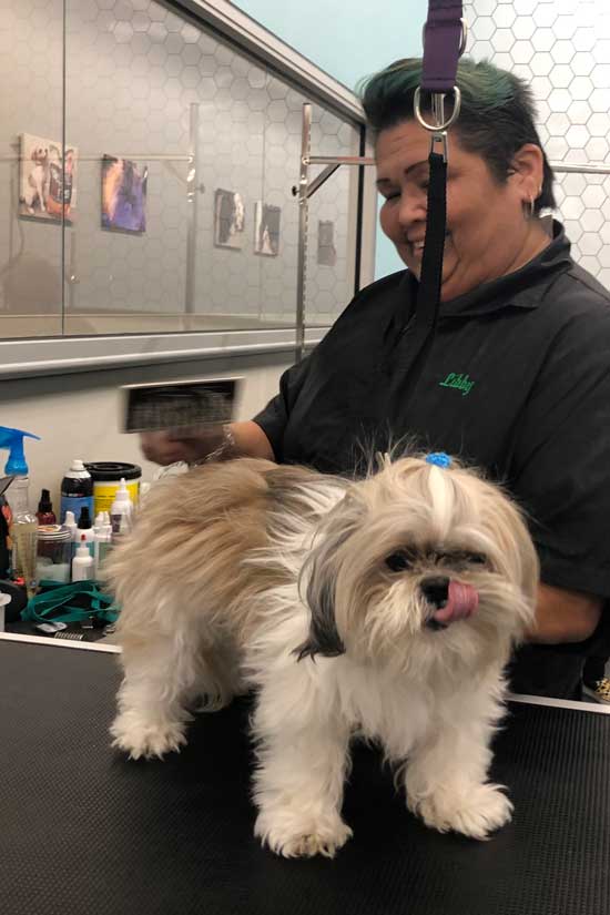 groomer